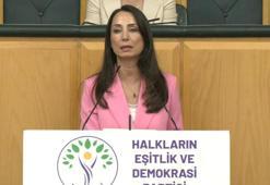 DEM Parti'li Hatimoğulları: Temmuz ayında çerçeve yasayı çıkaralım