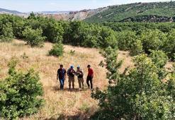 Özel ekip, 100 kilometrelik alanda Gülistan Doku'nun cenazesini arıyor