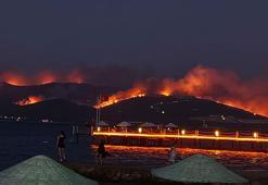 Milas'ta orman yangını