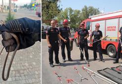 Sıcaklıklar yükseldi, yılan ihbarları arttı