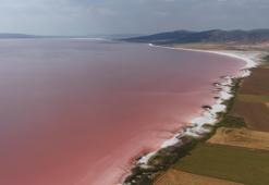 Tuz Gölü, pembe rengini aldı