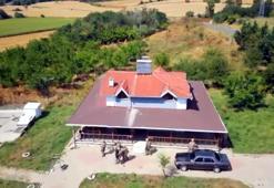 Bağ evinde Hint keneviri yetiştiren şüpheli tutuklandı