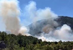 Antalya'da orman yangını