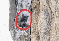Ölen dağcının, 200 metre sürüklendikten sonra ipte asılı kaldığı bölge dronla görüntülendi