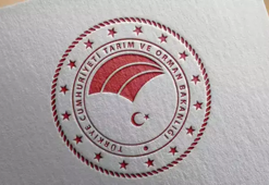 Tarım ve Orman Bakanlığı: Ülkemizde çekirge istilası söz konusu değildir