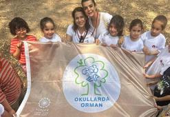 267 okula 'Orman bayrağı'; İstanbul ilk sırada