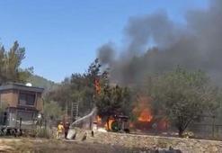 Muğla'da orman yangını