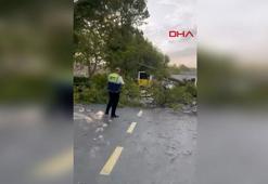 İstanbul’da fırtına; bazı ilçelerde ağaçlar devrildi, çatılar uçtu