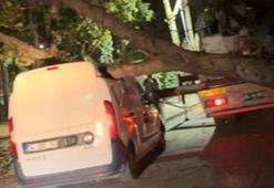 Sancaktepe’de fırtınada devrilen ağaç hafif ticari aracın üzerine düştü