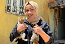 Kurtardığı sincap için evinde tırmanması için doğal alan oluşturdu