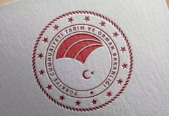 Şikayetlere neden olan beyaz peynir ürünü piyasadan toplatıldı