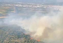 İzmir’de çıkan orman yangını kontrol altında