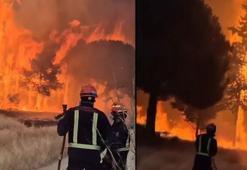 İspanya'da orman yangınları nedeniyle yaklaşık 60 bin kişi tahliye edildi