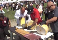 Ardahan'da 'Ulusal Kaşar ve Kültür Festivali'nin 25'incisi yapıldı