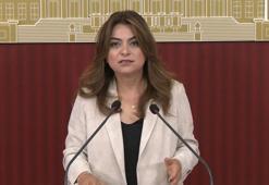 DEM Parti'li Koçyiğit: Çerçeve yasanın Meclis kapanmadan çıkacağına dair bilgiyi teyit edebilirim