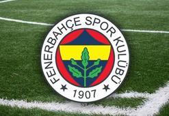 Fenerbahçe, Gornik Zabrze maçına hazır