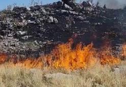 Adıyaman’da orman yangını; söndürme çalışmaları sürüyor