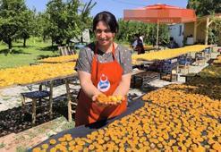 Iğdırlı kadınlar, kayısıyı güneşte kurutup ekonomiye kazandırıyor