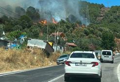Yalova’da orman yangını