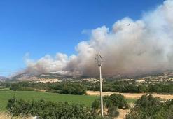 Çanakkale'de orman yangını