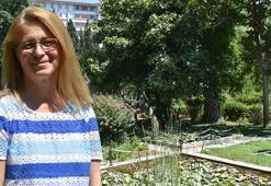 'Canlıların yaşayabileceği tampon bölgelerin kaybolduğunu görüyoruz'