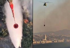 İzmir ve Manisa'da dün çıkan 13 yangın kontrol altına alındı