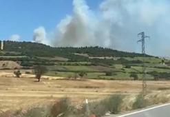 Balıkesir Susurluk’ta orman yangını