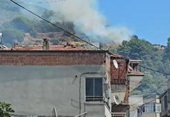 Marmara Adası’nda orman yangını