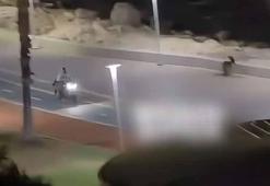 Bisiklet ve yaya yolunda motosiklet kullanan aday sürücünün ehliyeti iptal edildi