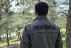 KDK'dan, diyabet hastası orman muhafaza memuru için 'açık arazide çalışmasın' tavsiye kararı