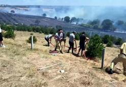Tekirdağ’da yangın; 100 dekar alan zarar gördü