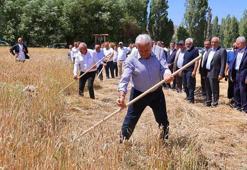 Binali Yıldırım, geleneksel ‘Harman Şenliği’nde tırpanla ekin biçti