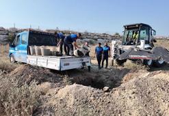 Mersin’de 200 kilo bozuk midye dolması ele geçirildi