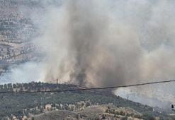 Adıyaman'da orman yangını
