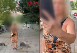 Bakırköy'de kedi kavgası; ruh ve sinir hastalıkları hastanesine yatırıldı