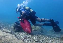 Hıdırellez dilekleri, aylar sonra da deniz yaşamını tehdit ediyor