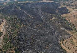 Manisa'daki orman yangınında zarar gören alanlar dronla görüntülendi