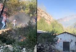 Hatay'da orman yangını