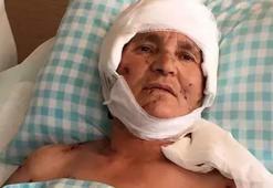 Köpek saldırısında yaralanan kadına 637 bin lira tazminat kararı