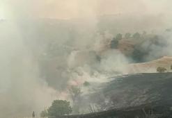 Malatya'da orman yangını
