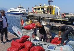 İzmir’de yasa dışı yollarla avlanılan 560 kilo kara midyeye el konuldu