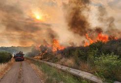 Çanakkale'de 3 gün süreyle biçerdöver ve balya makinesi kullanımı yasaklandı