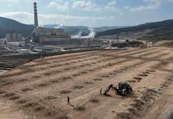 Termik santralin 90 derecelik sıcak suyu, ilk kez serada kullanılacak