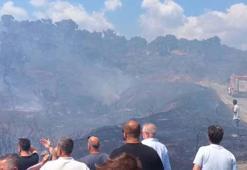 Balıkesir'de orman yangını