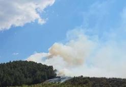 Balıkesir Dursunbey'de orman yangını