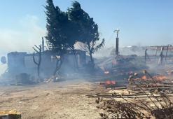 Tekirdağ'da anız yangını; 4 çiftlik evi yandı