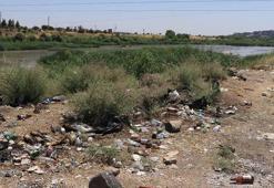 Dicle Vadisi’nde ‘piknikçi’ kirliliği: Atıklar insan ve yaban hayatını tehdit ediyor