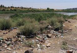 Dicle Vadisi’nde ‘piknikçi’ kirliliği: Atıklar insan ve yaban hayatını tehdit ediyor