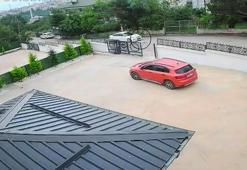 Ordu’da otomobilin çarptığı köpek öldü; 10 yaşındaki kız bayıldı