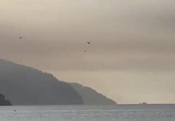 Muğla'da orman yangını ikinci gününde